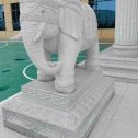 菏泽 白麻花岗岩动物异形石雕-大象