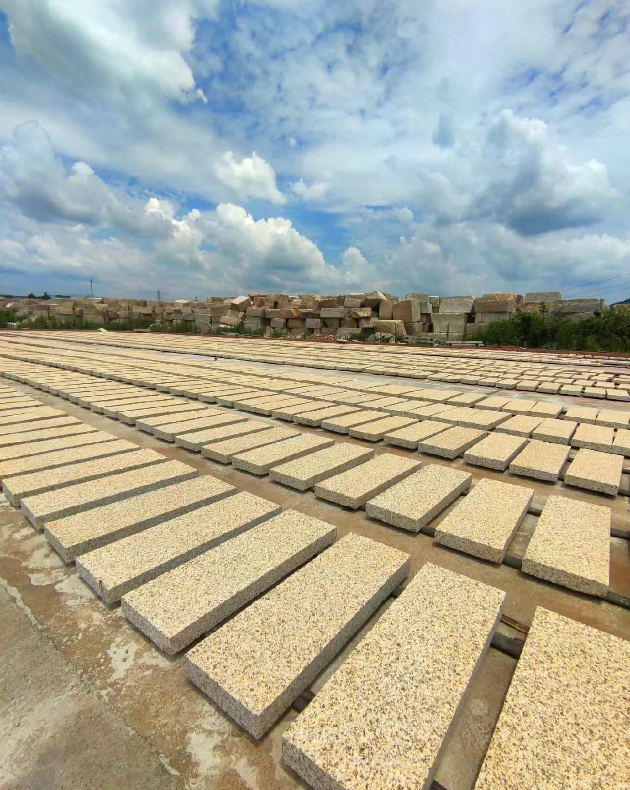 菏泽 黄金麻花岗岩荔枝面地铺石防护中